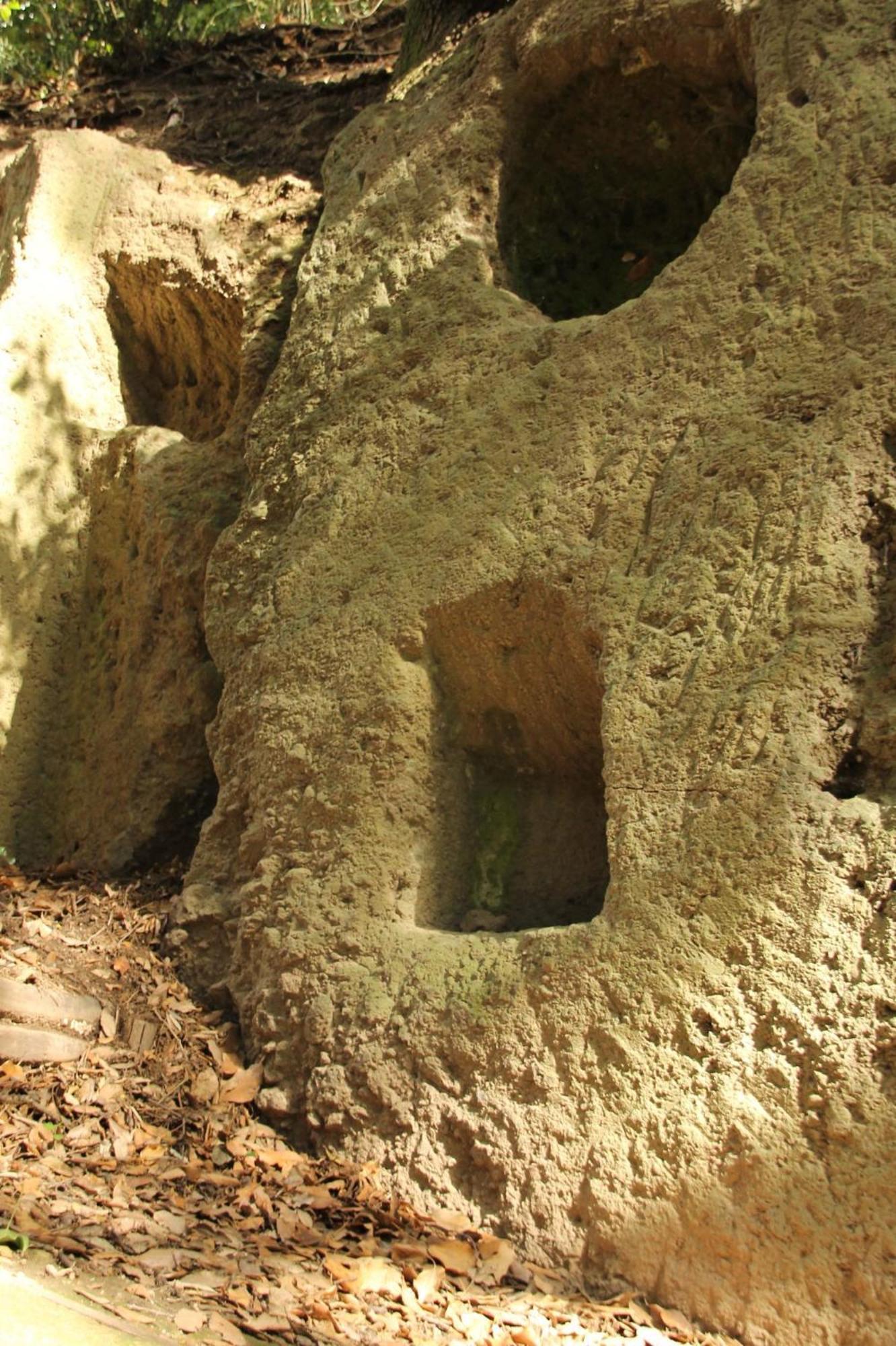 Hotel Tempio Di Apollo Ρώμη Εξωτερικό φωτογραφία